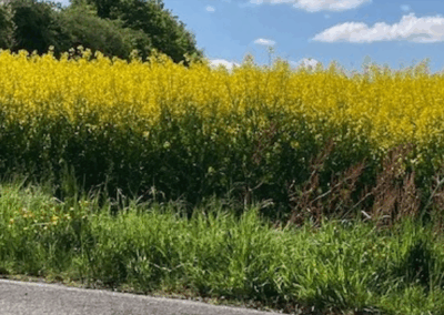 5 leviers RH pour activer une stratégie RSE crédible