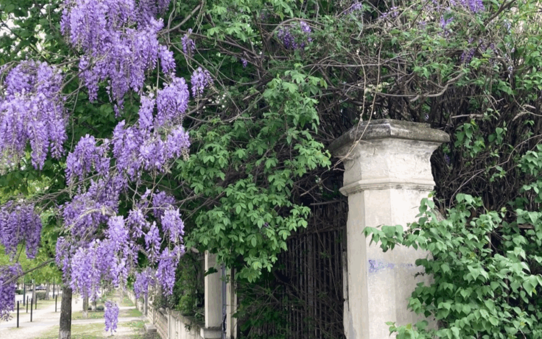 Labels RSE : comment choisir, comparer et valoriser son engagement ?