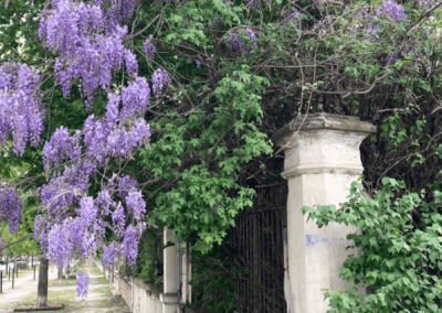 Labels RSE : comment choisir, comparer et valoriser son engagement ?