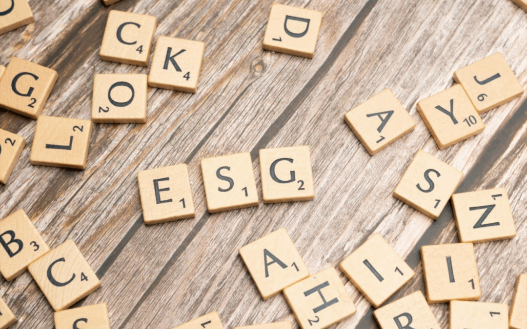 Où en sommes nous sur une réforme de la directive CSRD ?