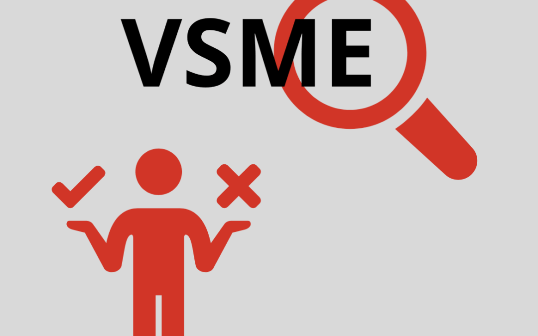 VSME : à quoi çà sert (vraiment) ?