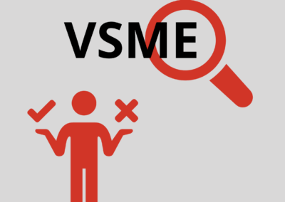 VSME : à quoi çà sert (vraiment) ?